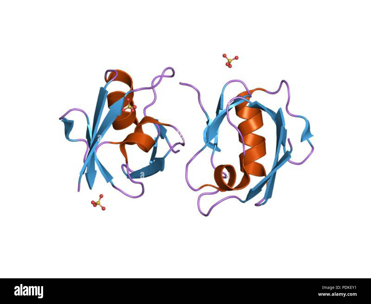 87 PDB 1oby EBI Foto Stock
