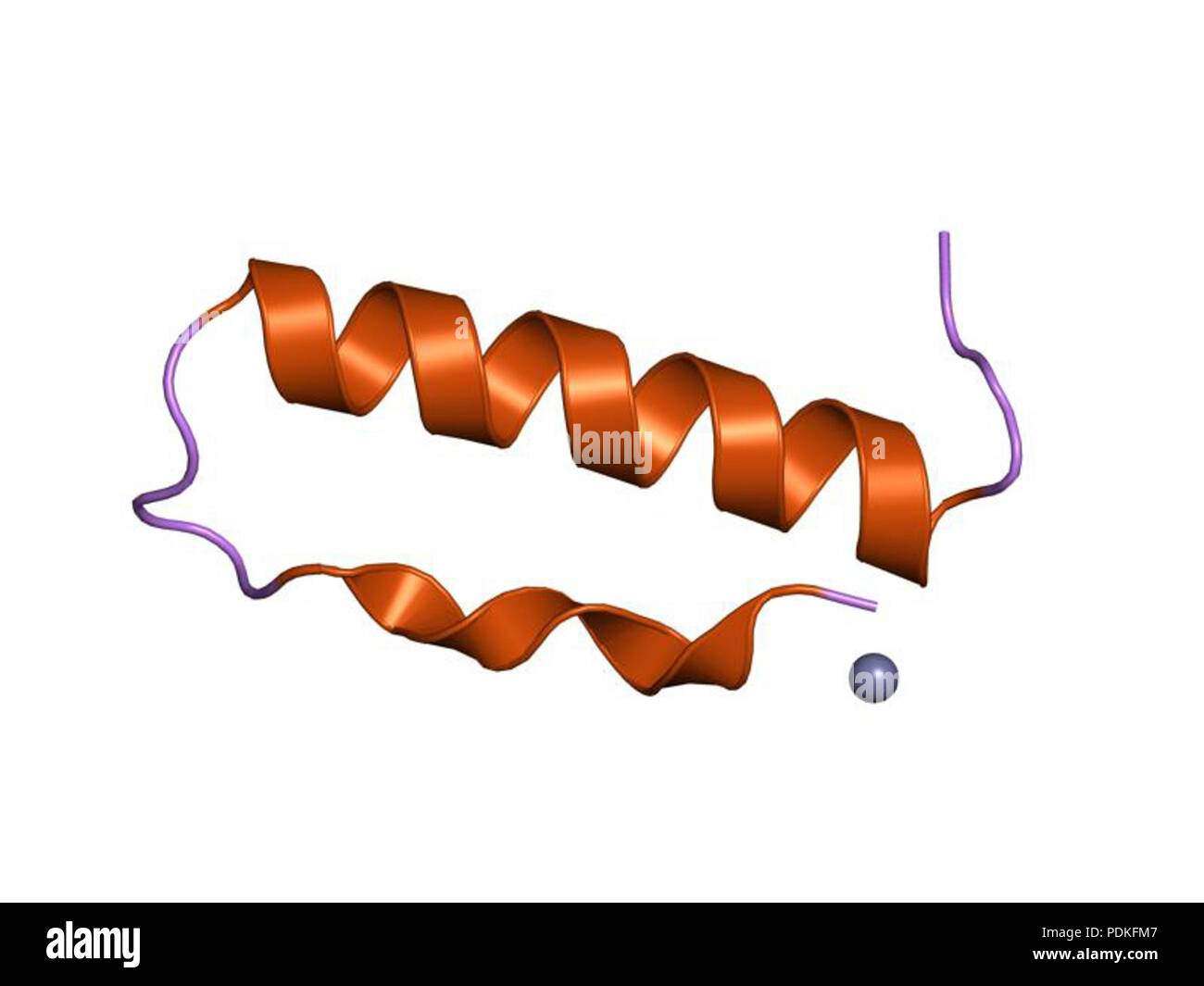 95 PDB 1ppt EBI Foto Stock