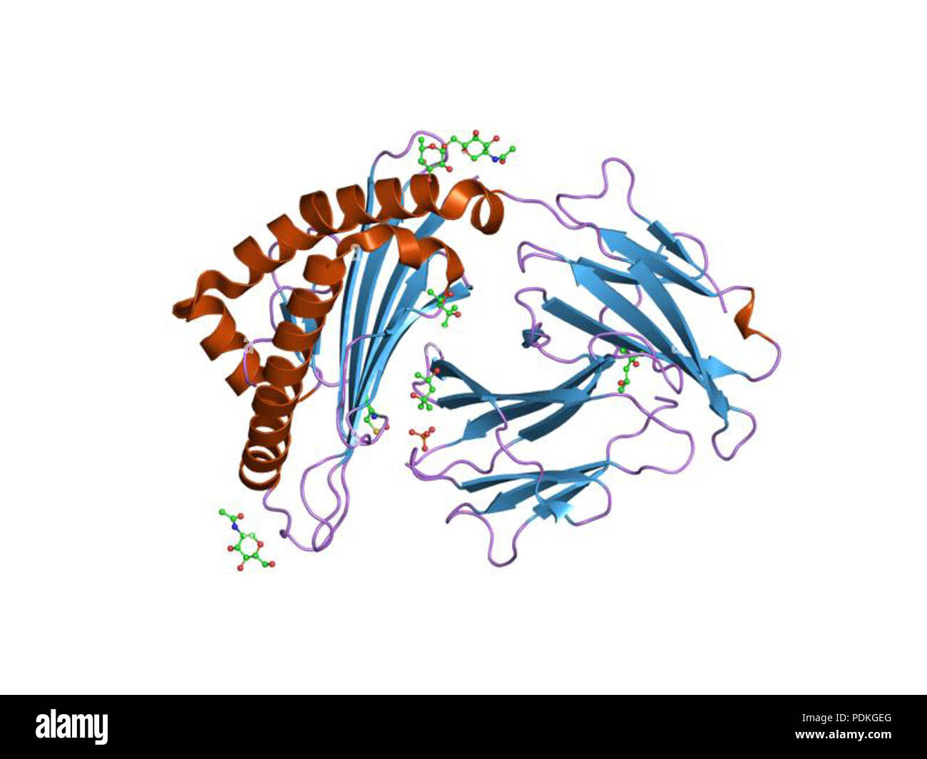 39 PDB 1fzo EBI Foto Stock