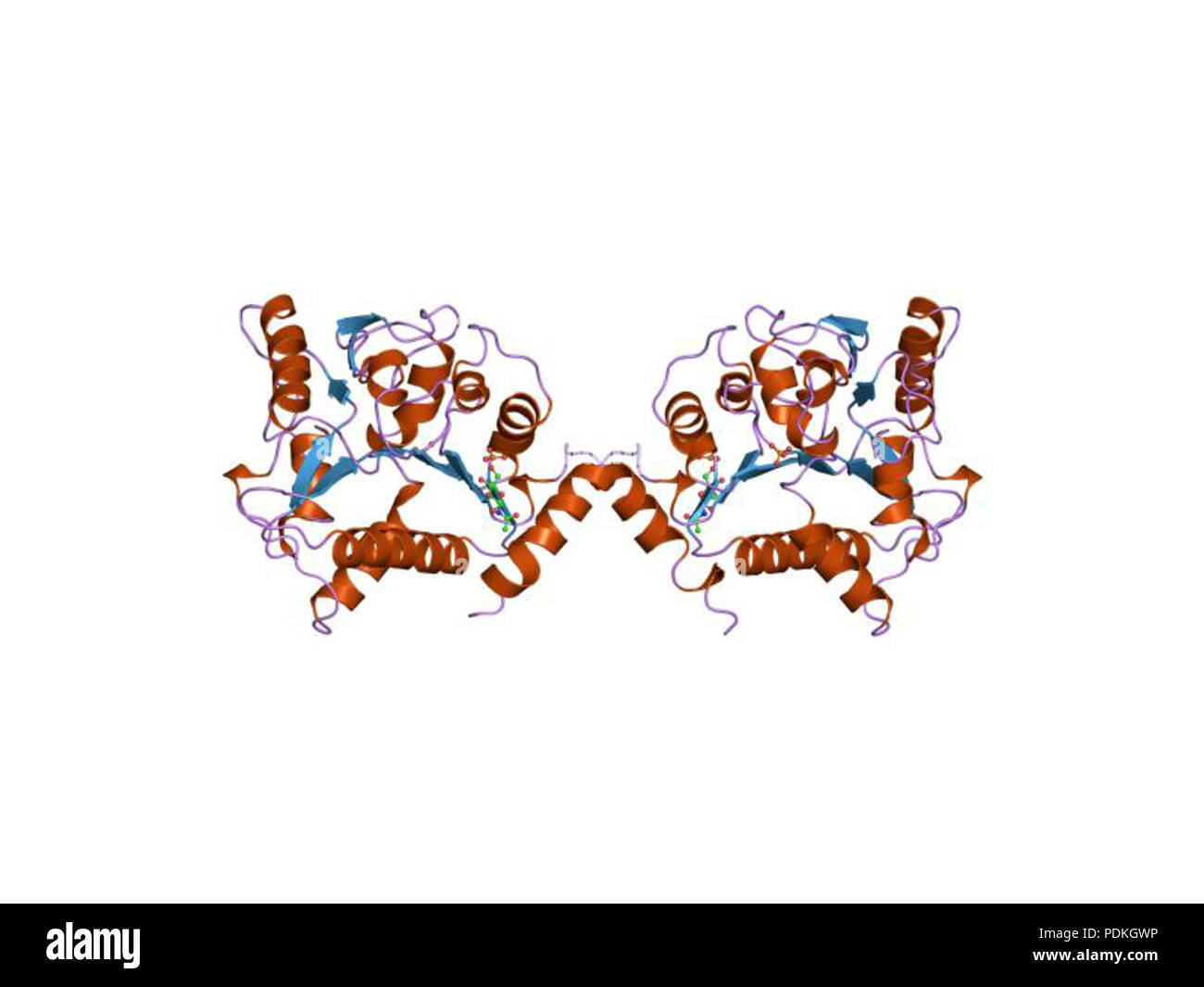 49 PDB 1EBI a caldo Foto Stock