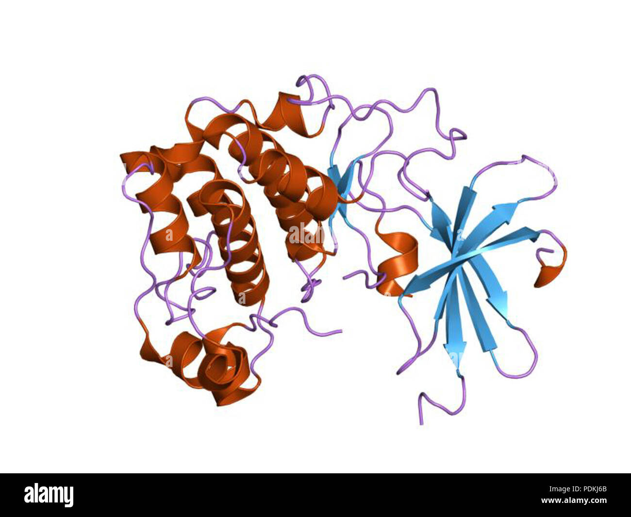 78 PDB 1mry EBI Foto Stock