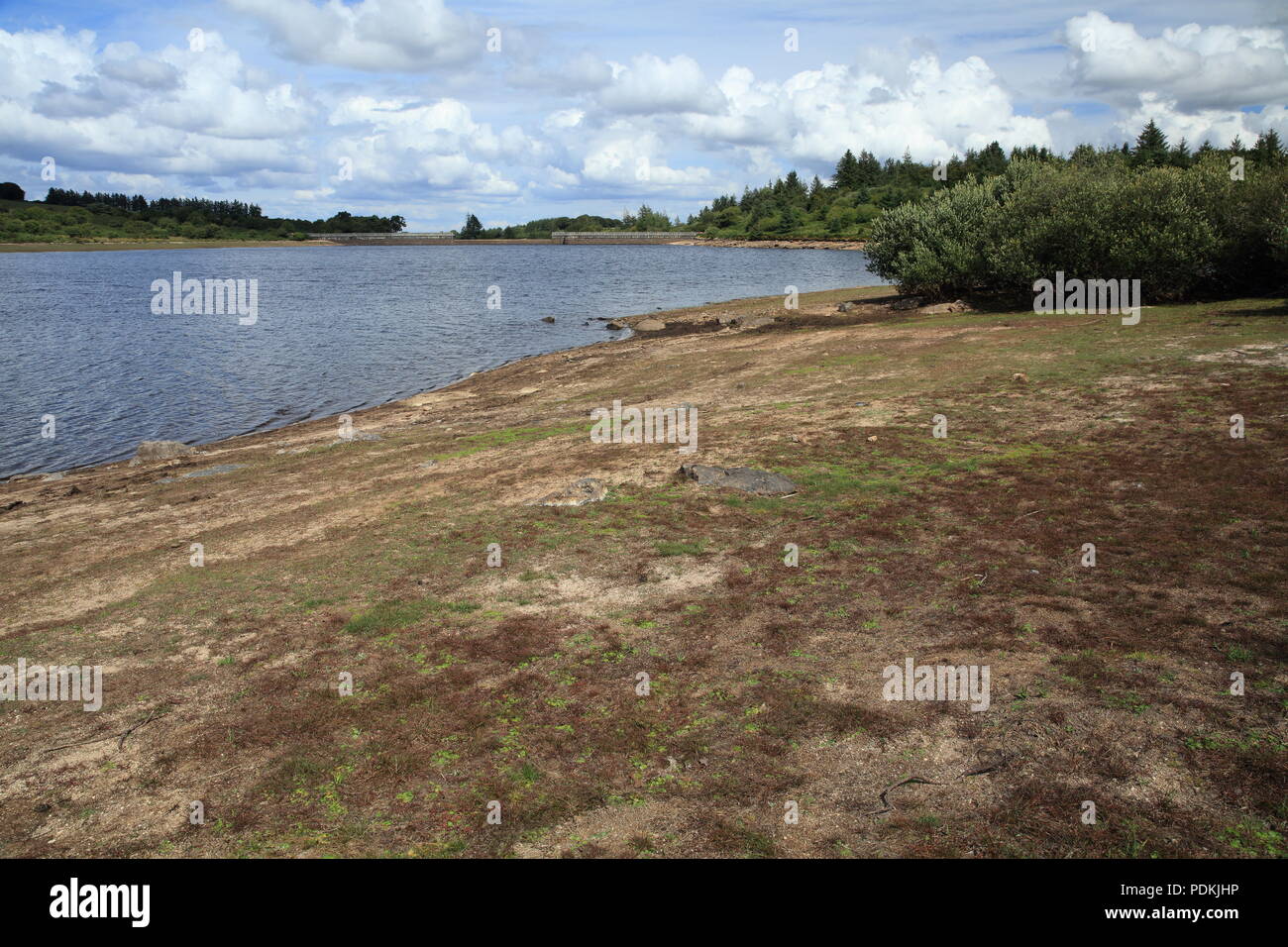 Serbatoio Fernworthy mostra segni di siccità, Parco Nazionale di Dartmoor, Devon, Inghilterra, Regno Unito Foto Stock