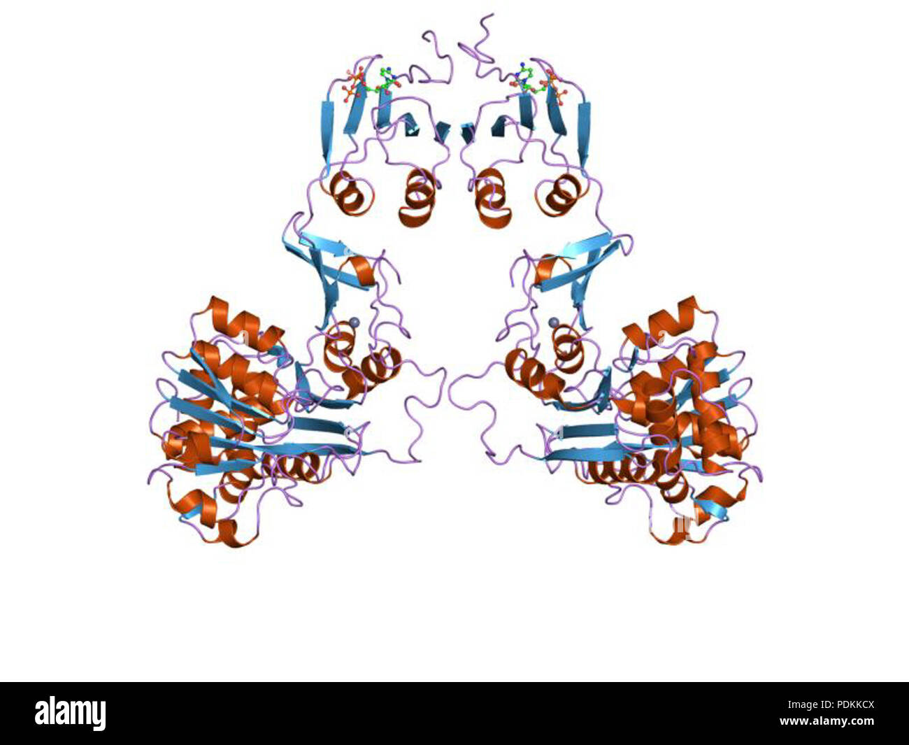104 PDB 1raf EBI Foto Stock