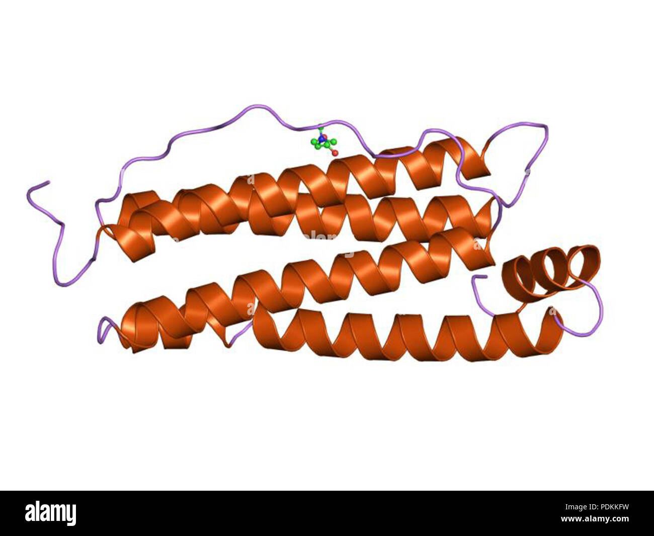 105 PDB 1rcc EBI Foto Stock