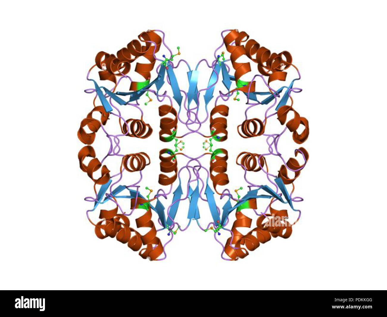 105 PDB 1EBI rcu Foto Stock
