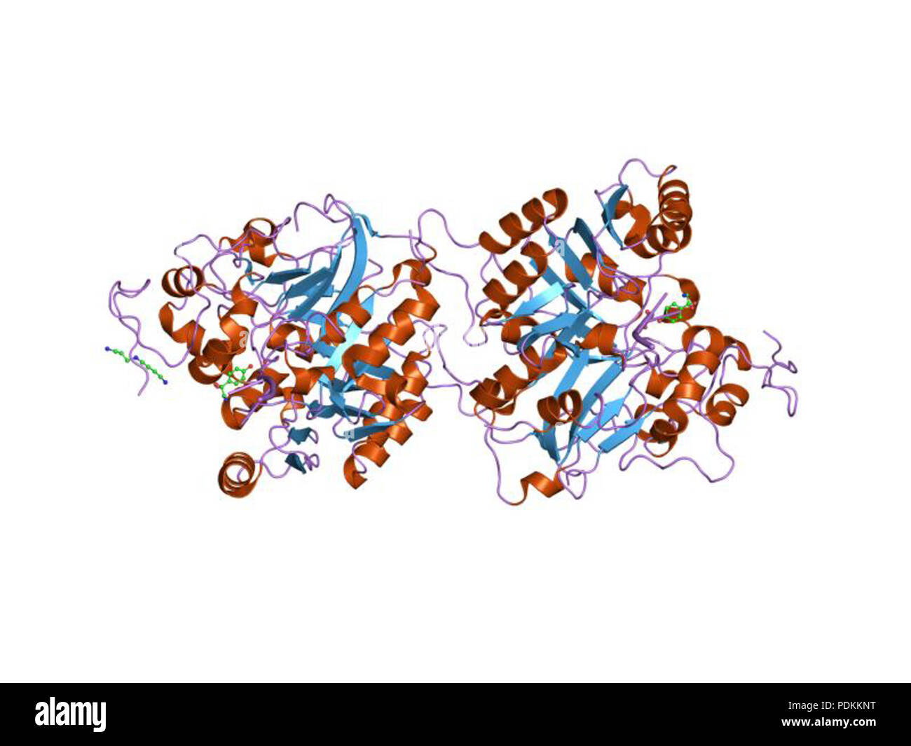 106 PDB 1rgt EBI Foto Stock