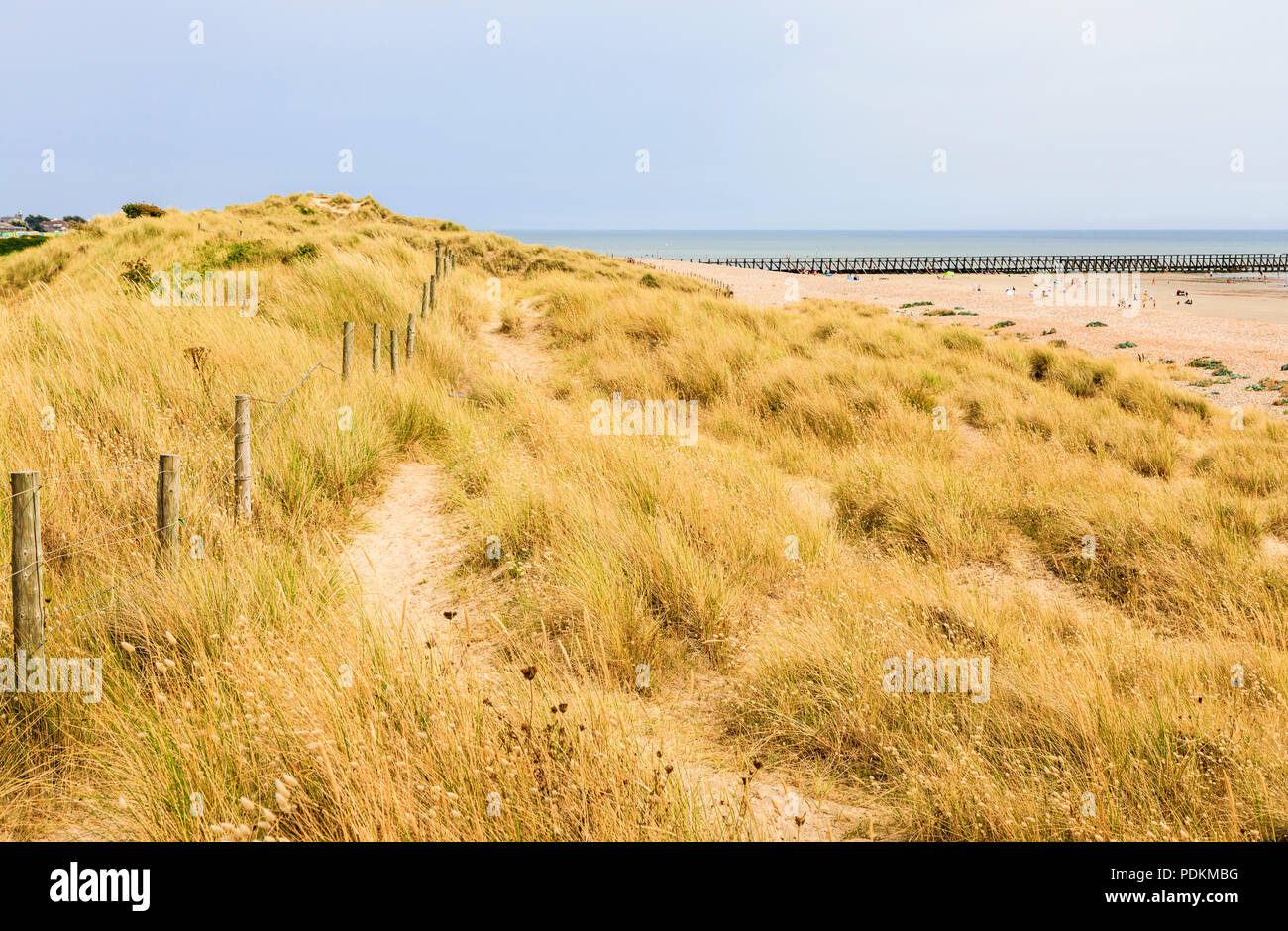 West Beach dune di sabbia in spiaggia Climping SSSI natura locale riserva, Littlehampton, una piccola località di villeggiatura sulla costa sud West Sussex, Regno Unito in estate Foto Stock