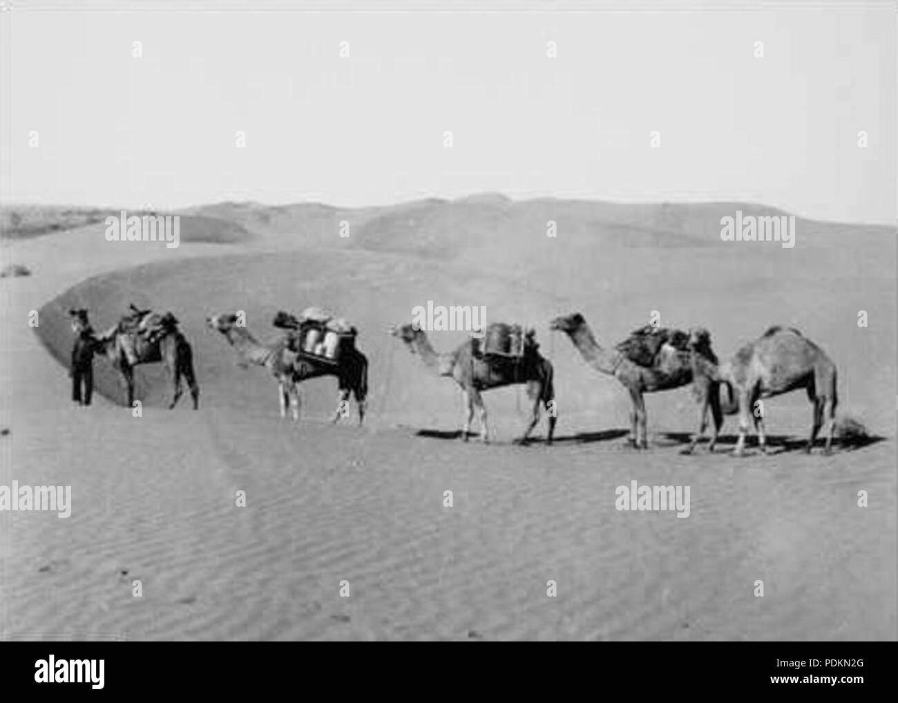 21 B9113 22 Simpson Desert Foto Stock