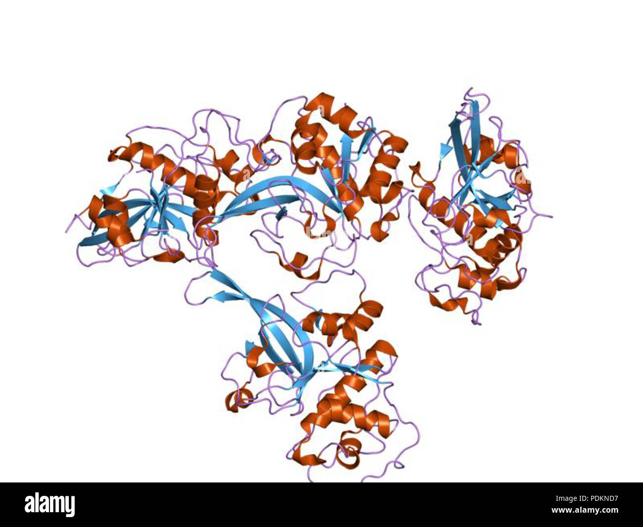 193 PDB 2ghu EBI Foto Stock