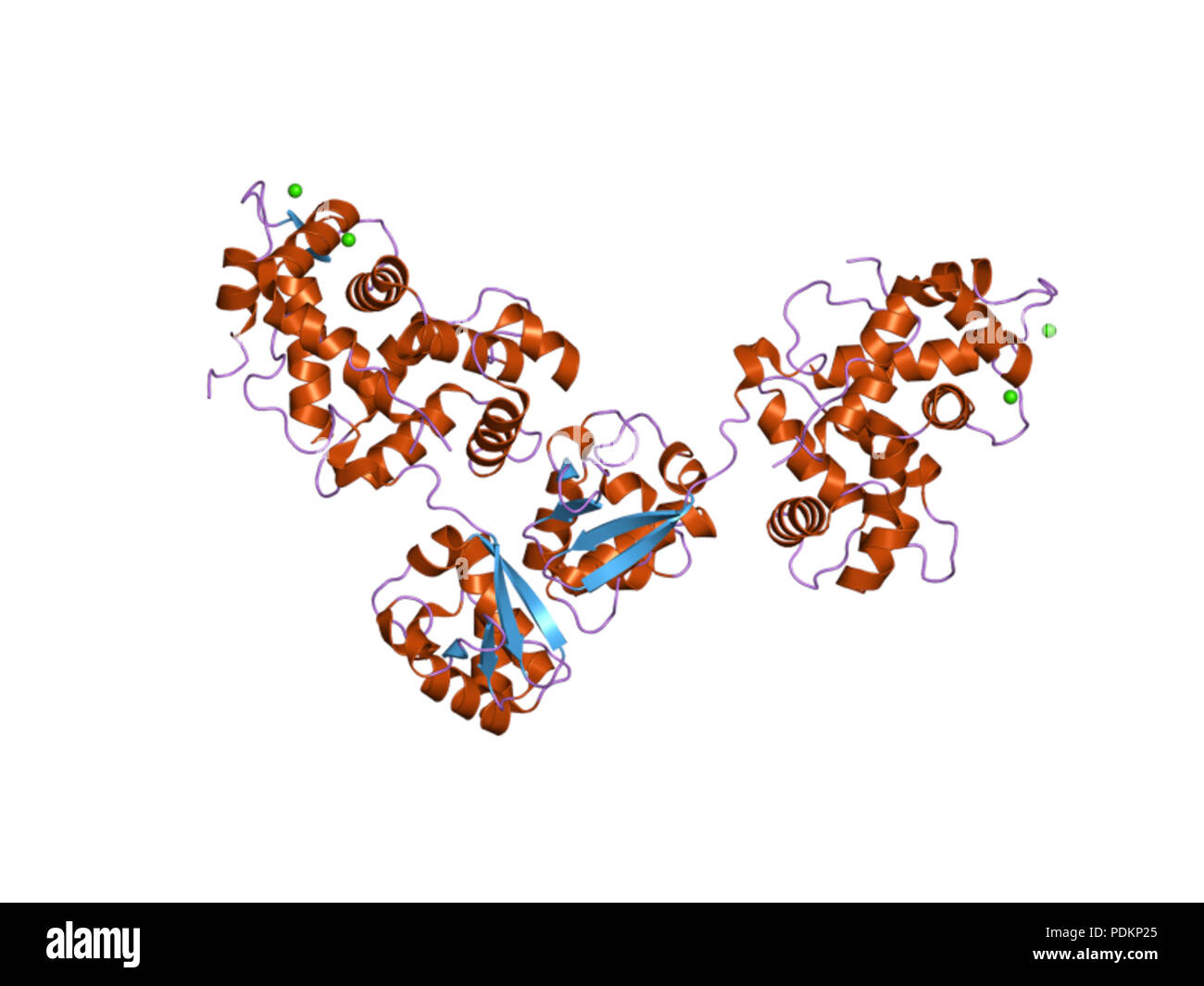 218 PDB 2NZ0 EBI Foto Stock