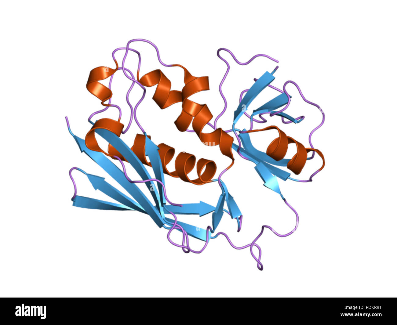 262 PDB 3BVM EBI Foto Stock