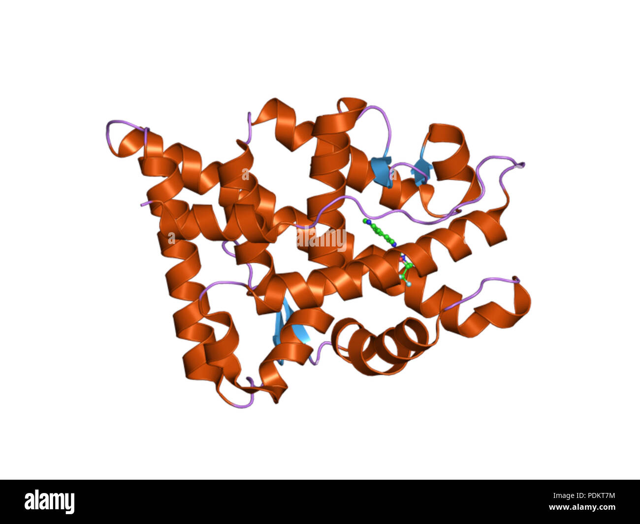 283 PDB 3g0w EBI Foto Stock