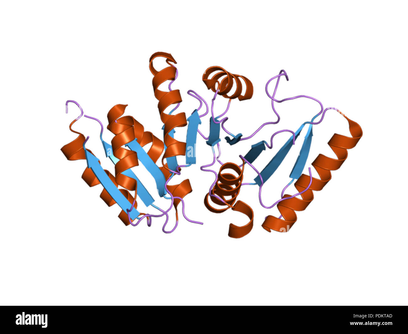 283 PDB 3g40 EBI Foto Stock