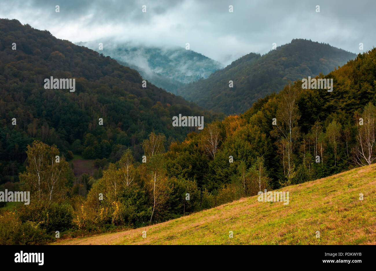 Montagne boscose in autunno. nuvoloso e nebbioso meteo. creative moody tonificante Foto Stock