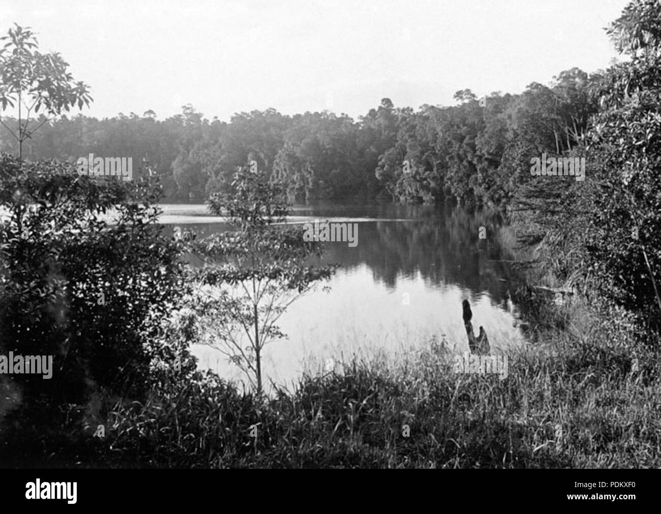101 Queensland Archivi di Stato 1273 Lago Eacham vicino Yungaburra c 1935 Foto Stock