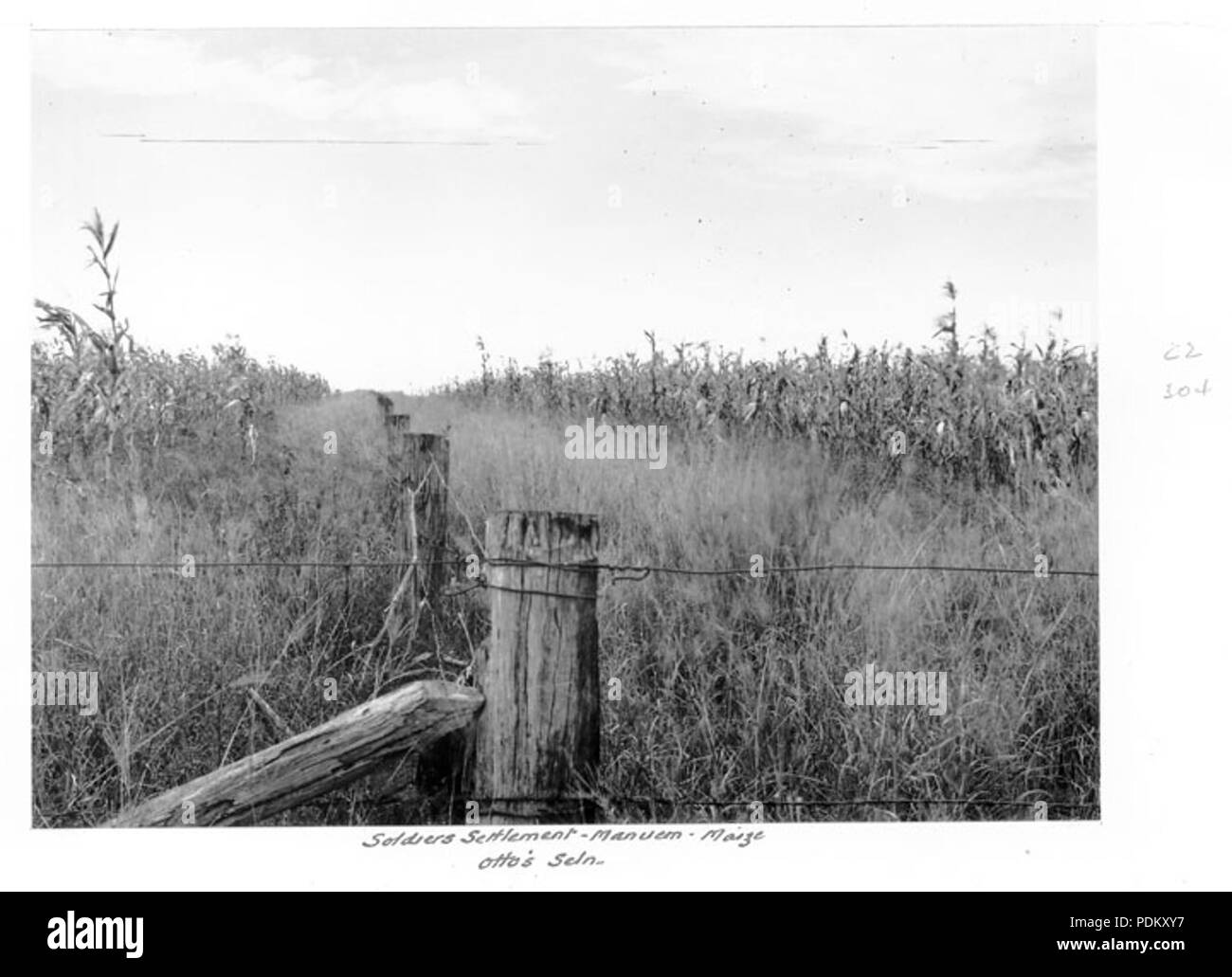 116 Queensland Archivi di Stato 4502 mais soldati Manuem insediamento c 1950 Foto Stock