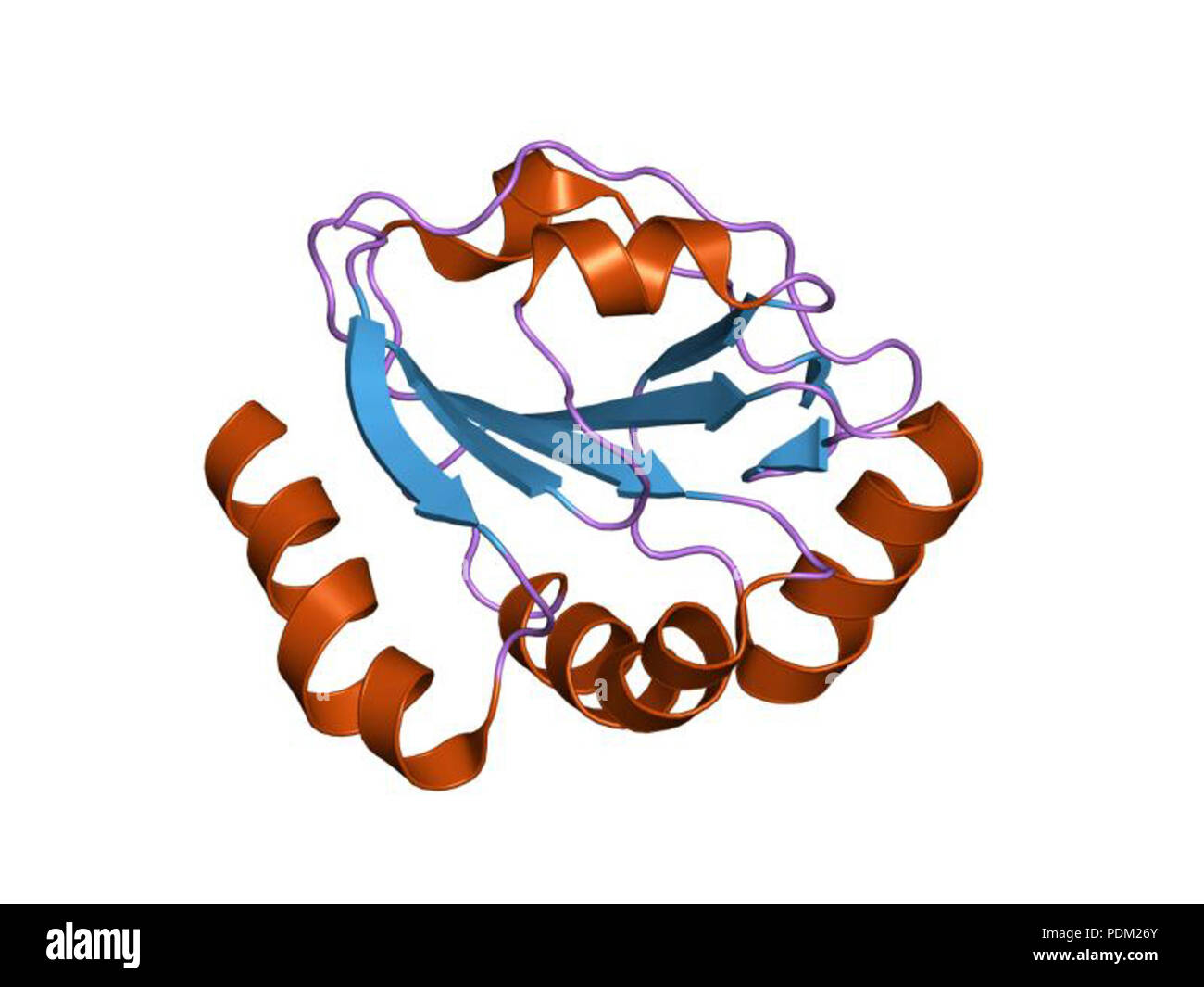 66 PDB 1kng EBI Foto Stock