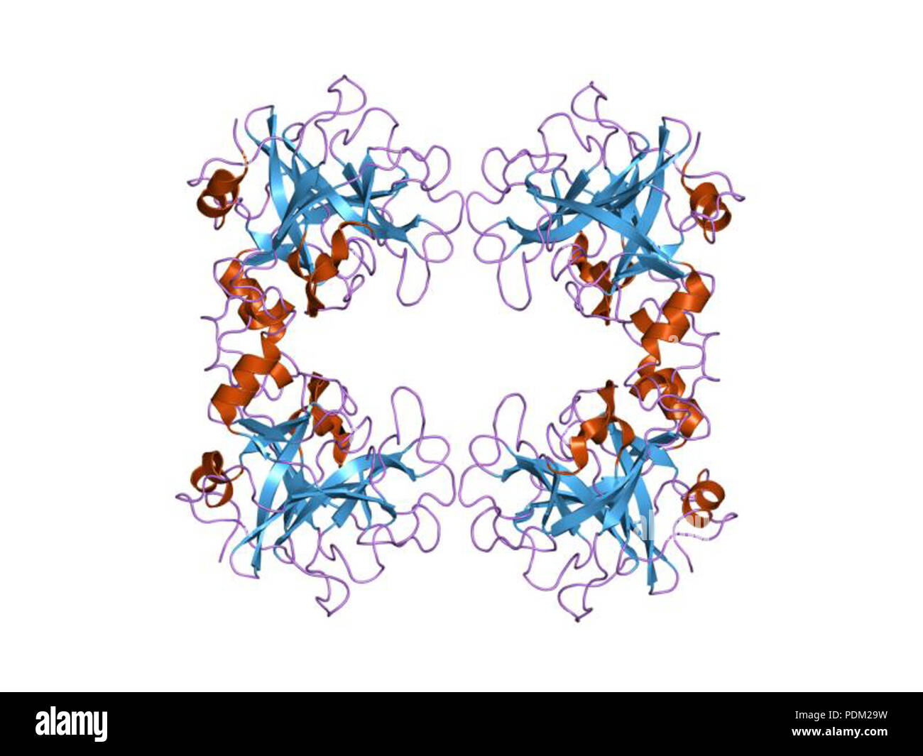 73 PDB 1lto EBI Foto Stock