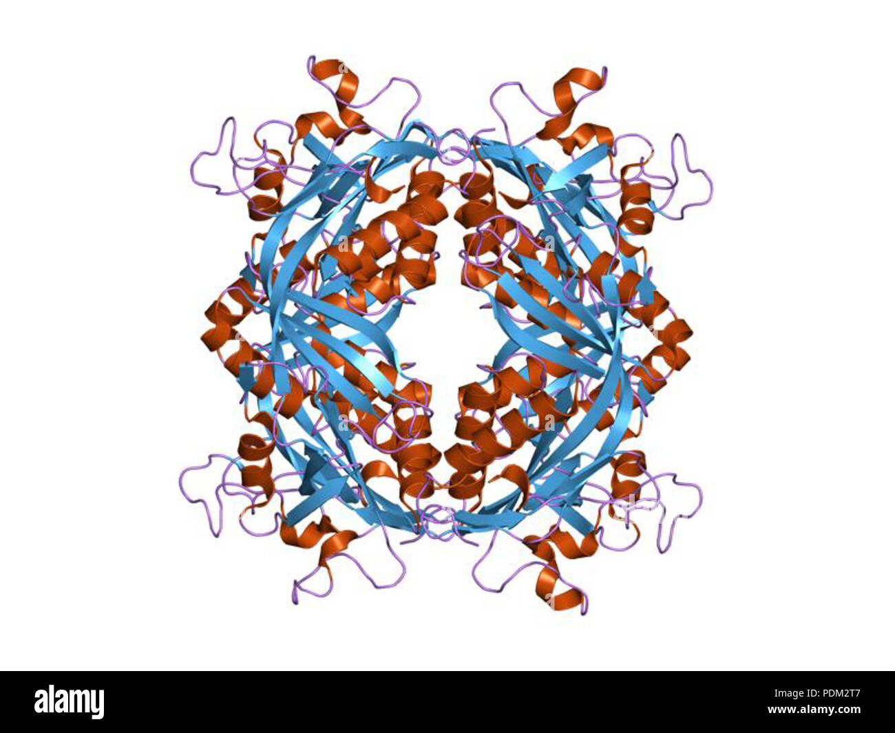 75 PDB 1m5s EBI Foto Stock