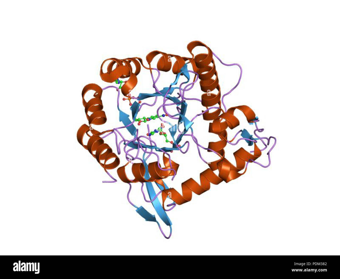 76 PDB 1mew EBI Foto Stock