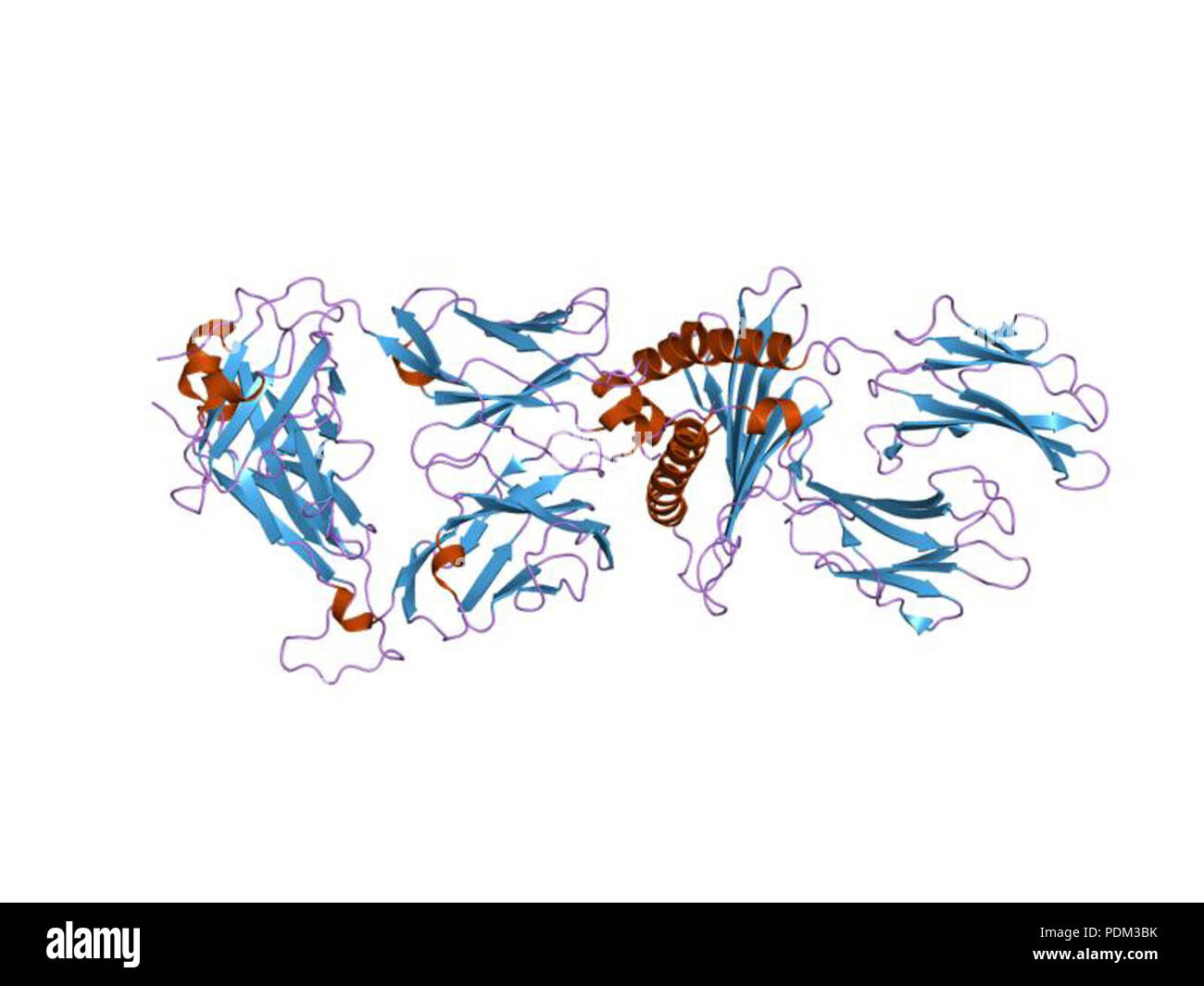 77 PDB 1mi5 EBI Foto Stock
