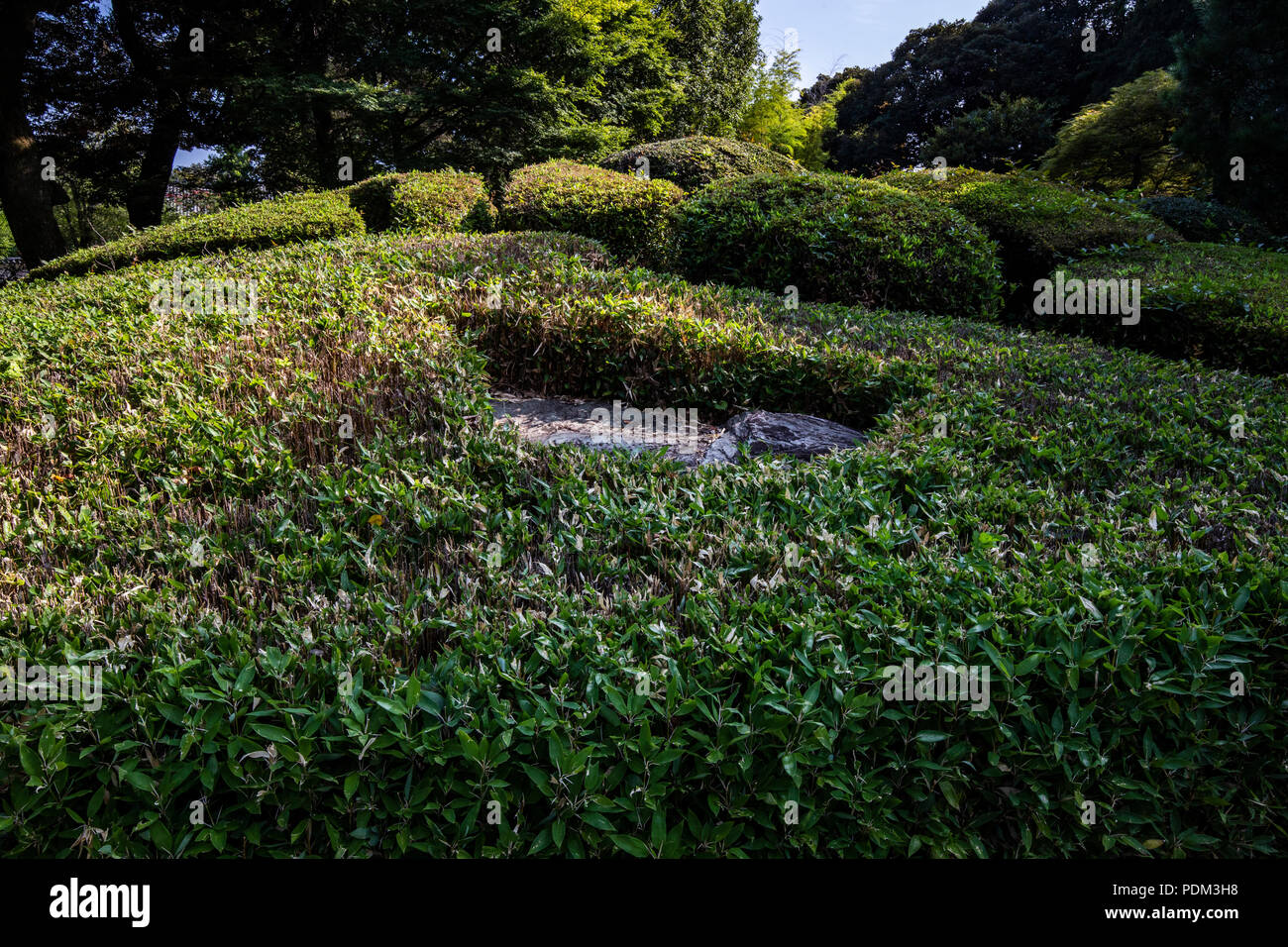 Banna-ji giardino - Banna-ji di Ashikaga è uno del Giappone del designato Patrimonio Nazionale, il tempio principale edificio della banna-ji il tempio fu mar morto Foto Stock