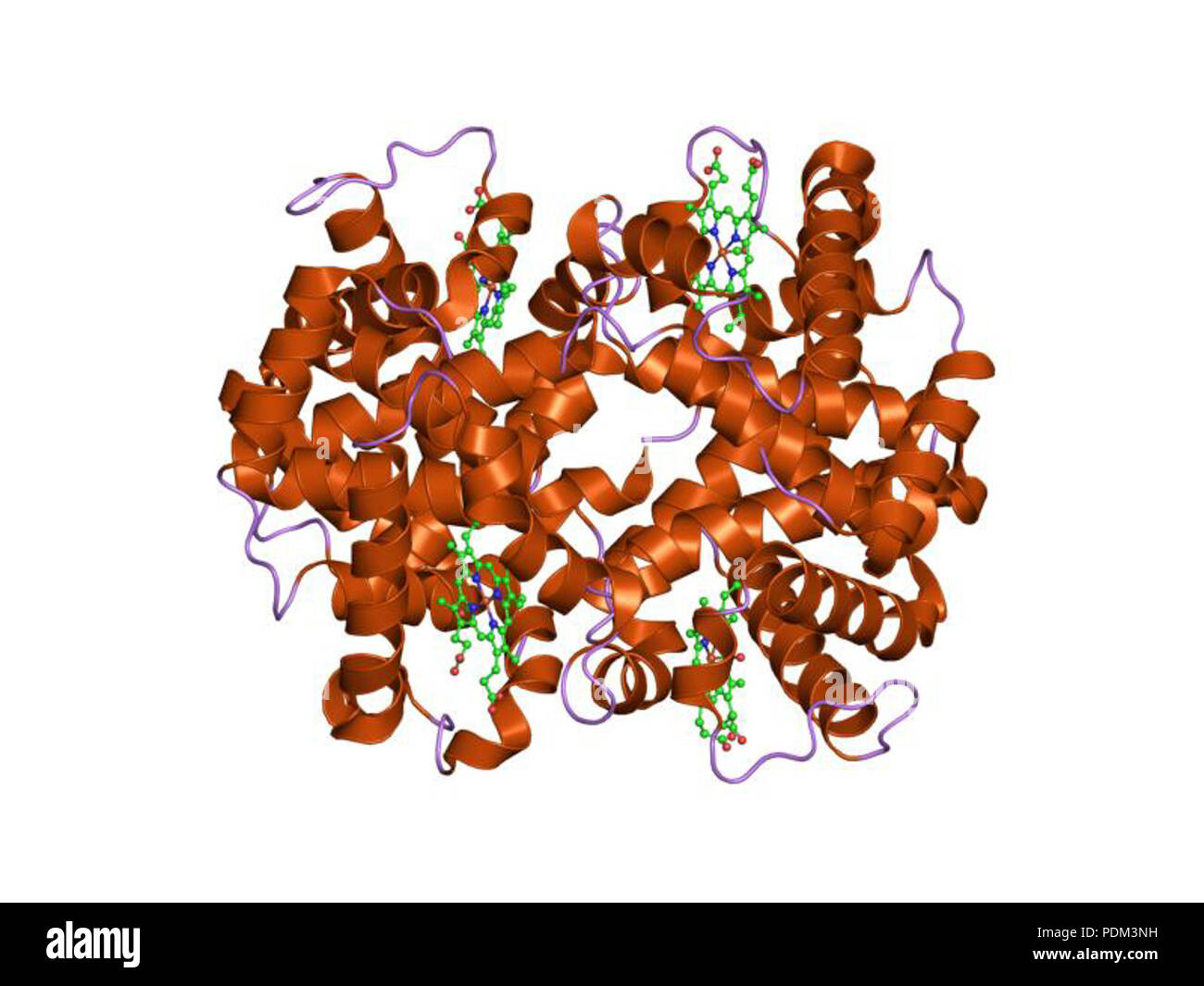 82 PDB 1nej EBI Foto Stock