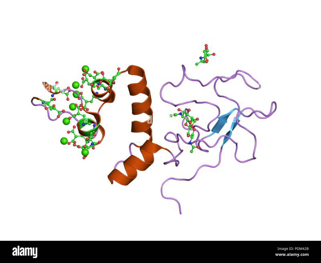 83 PDB 1NL1 EBI Foto Stock