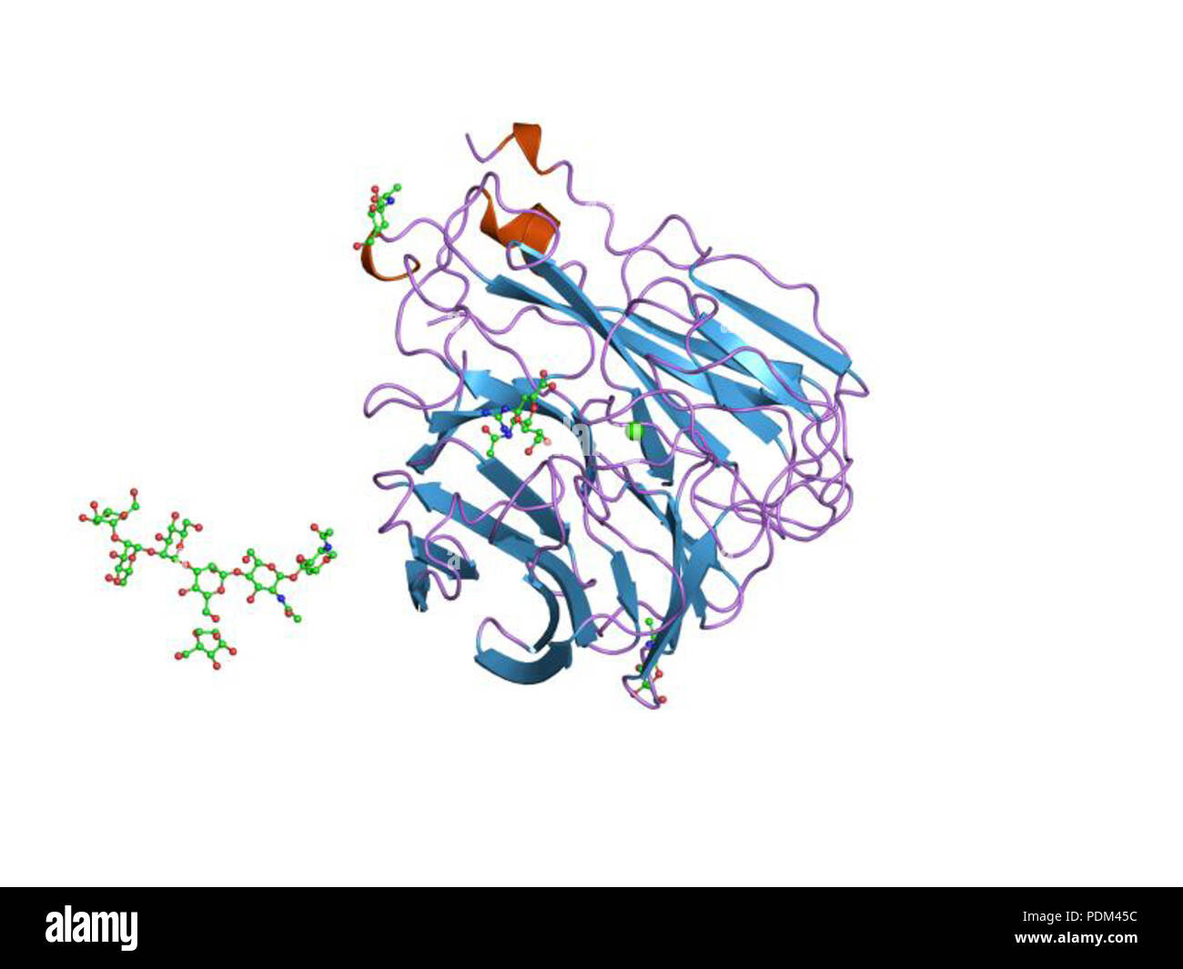 83 PDB 1nnc EBI Foto Stock