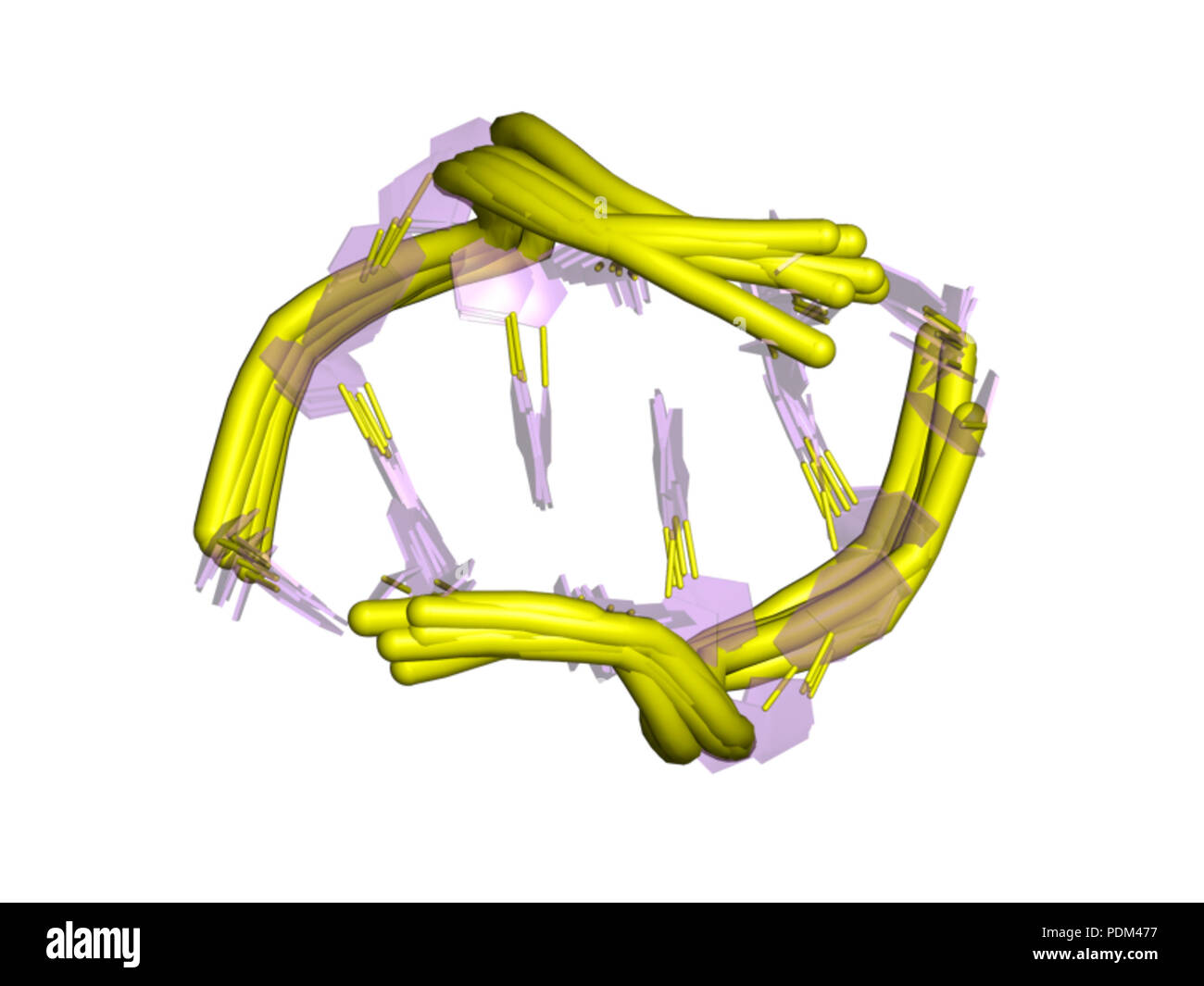 84 PDB 1noq EBI Foto Stock