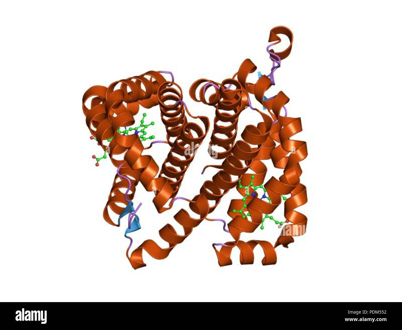 90 PDB 1O4 EBI Foto Stock