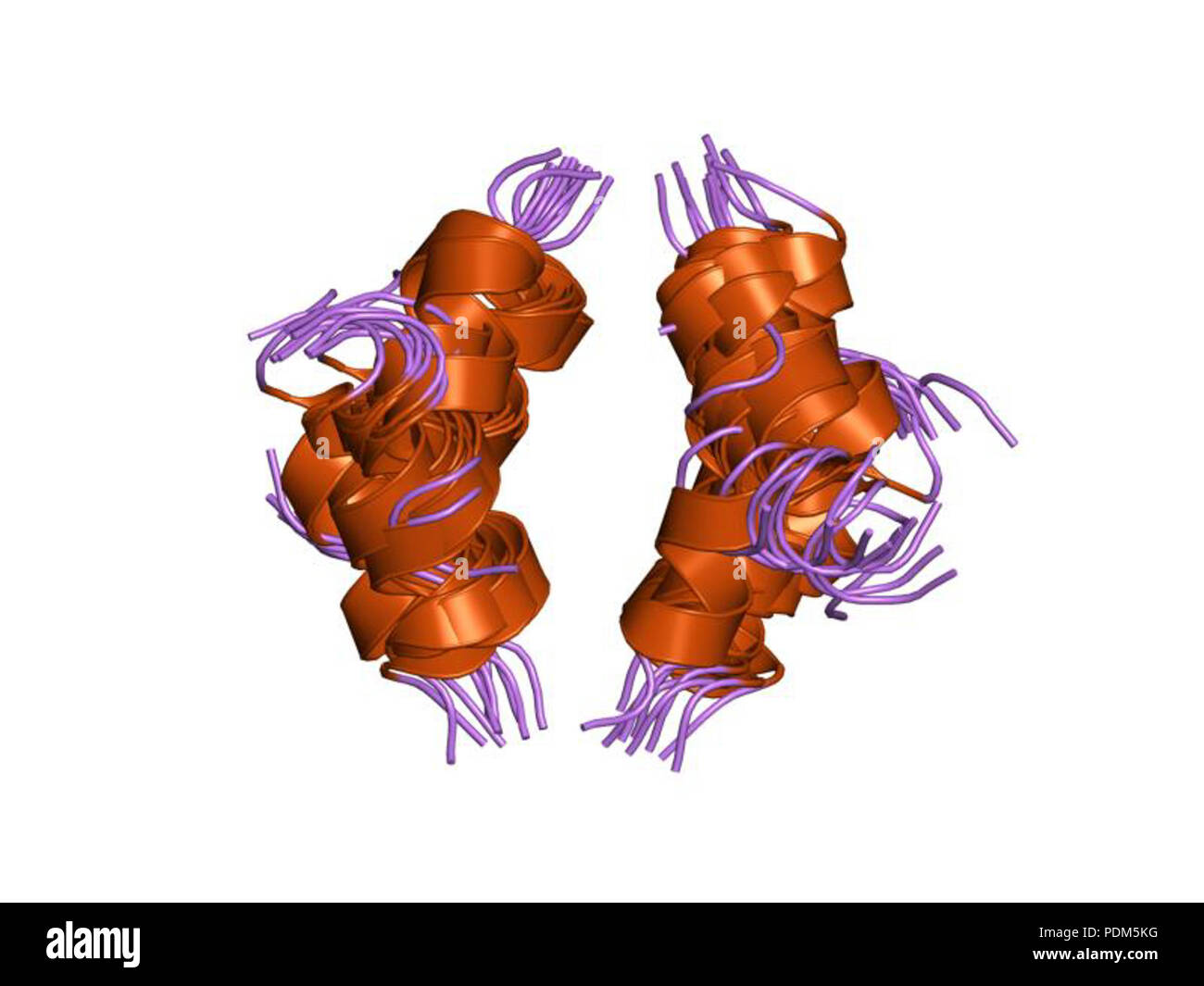92 PDB 1p23 EBI Foto Stock