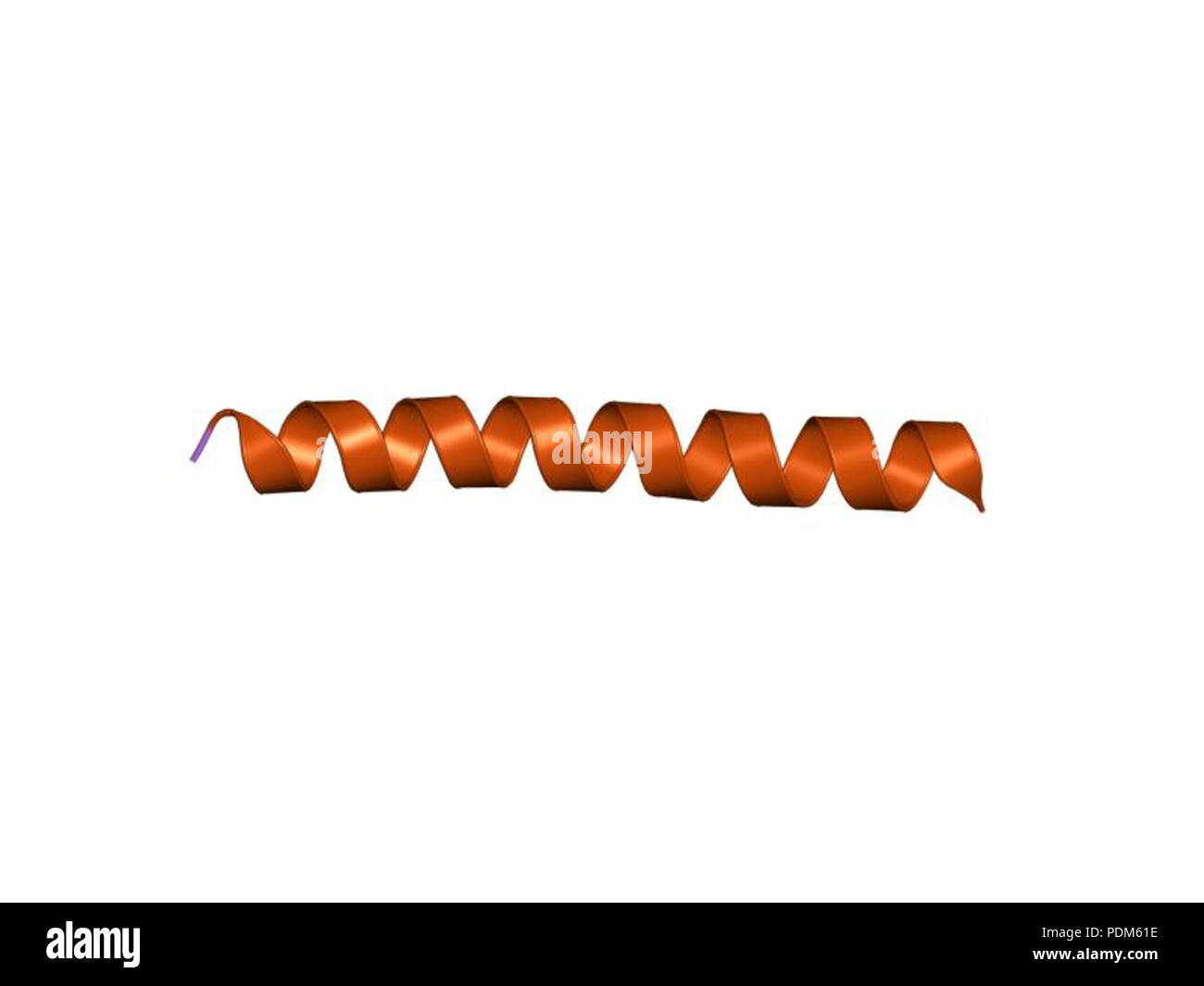 93 PDB 1p9i EBI Foto Stock