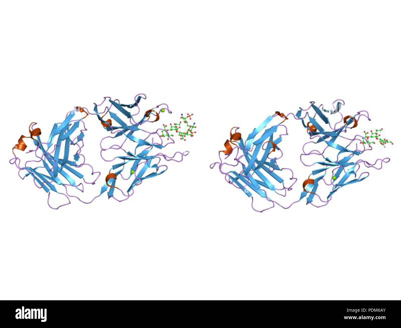 99 PDB 1q9w EBI Foto Stock