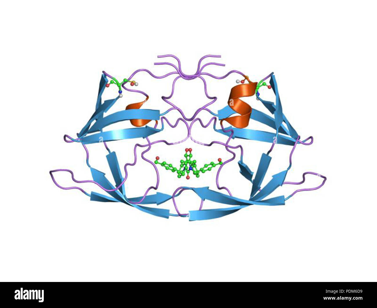 99 PDB 1qbs EBI Foto Stock