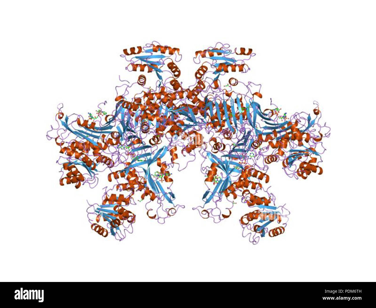 100 PDB 1qki EBI Foto Stock