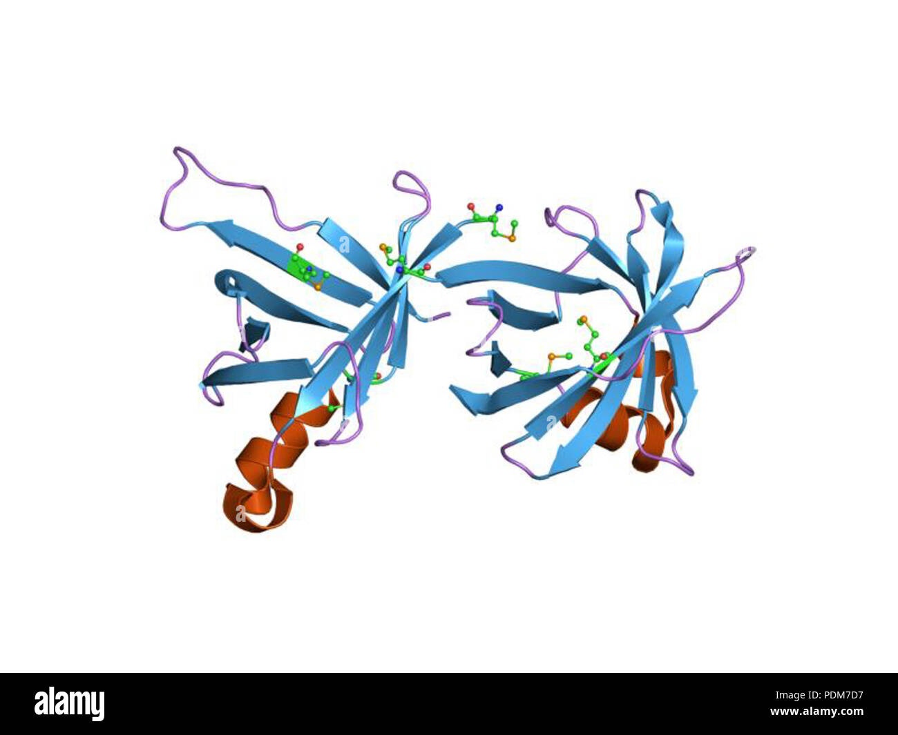 102 PDB 1qwx EBI Foto Stock