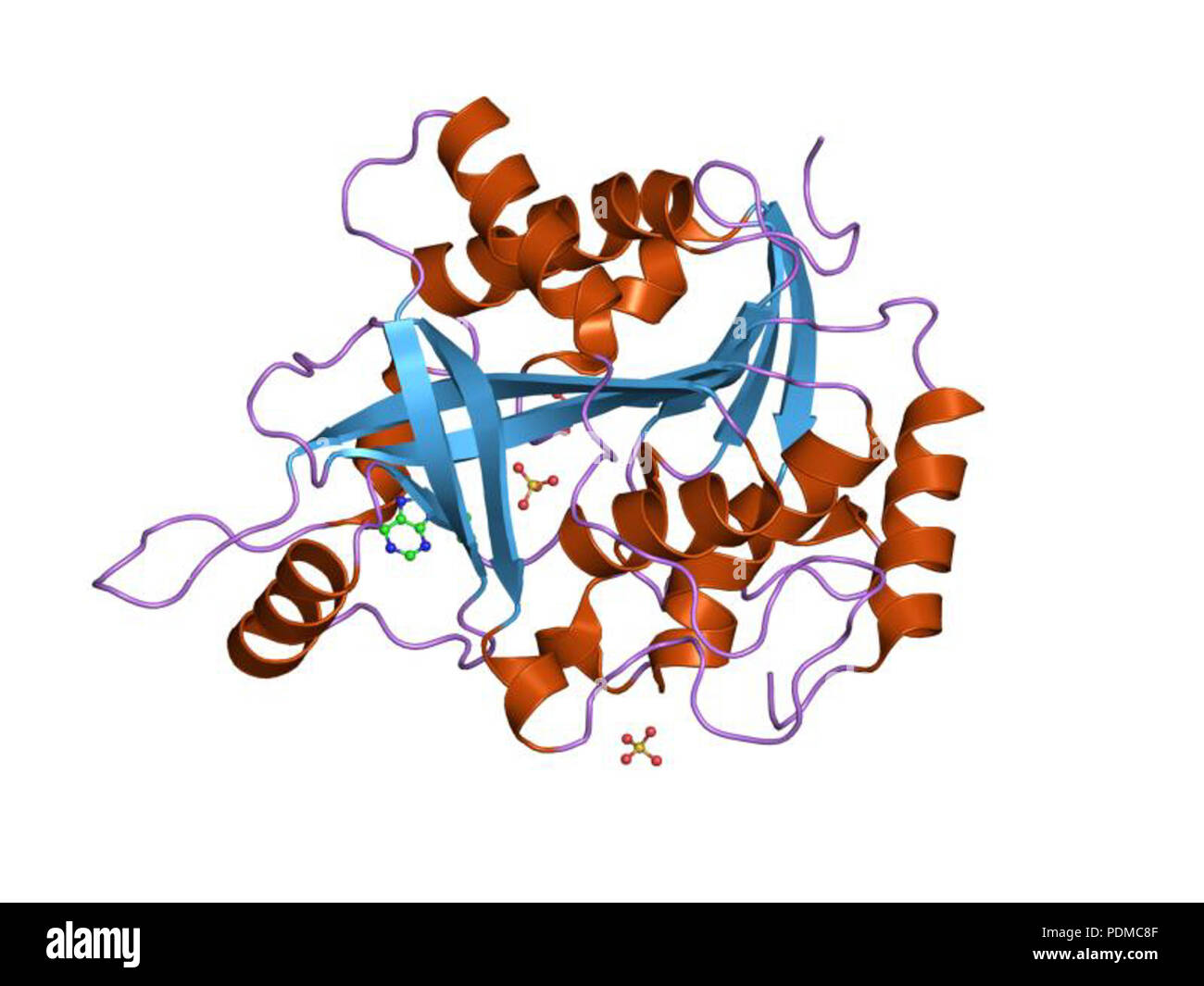 127 PDB 1v3q EBI Foto Stock