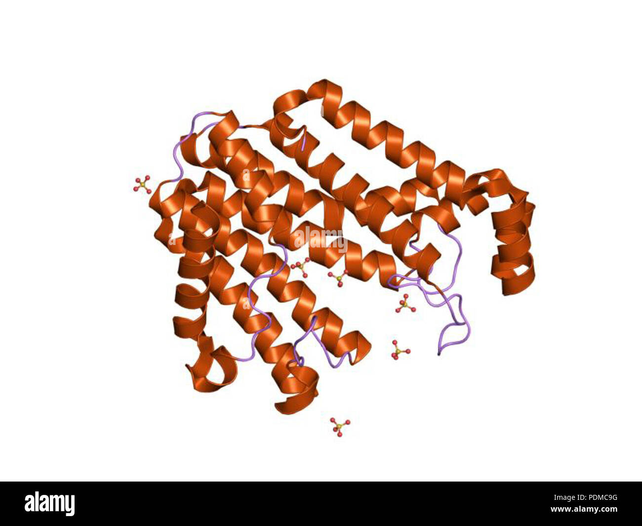 127 PDB 1v4h EBI Foto Stock