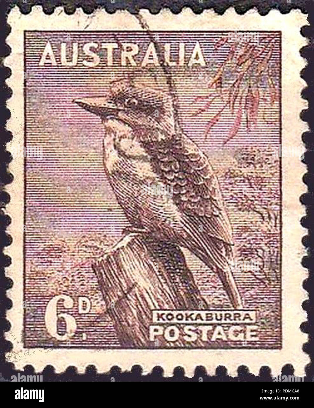 16 Australia Bird 1937 problema-6d Foto Stock