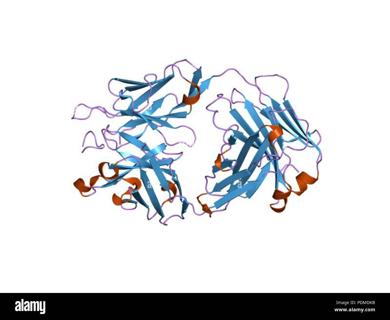 97 PDB 1pz5 EBI Foto Stock