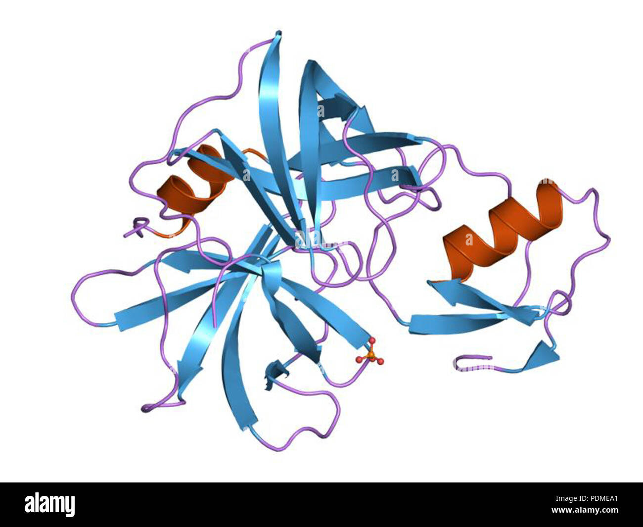 111 PDB 1sgp EBI Foto Stock