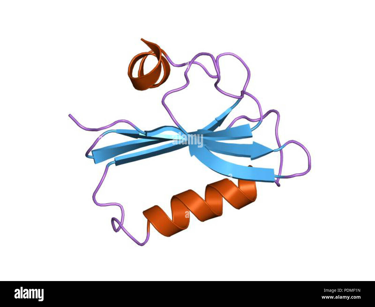 114 PDB 1svr EBI Foto Stock