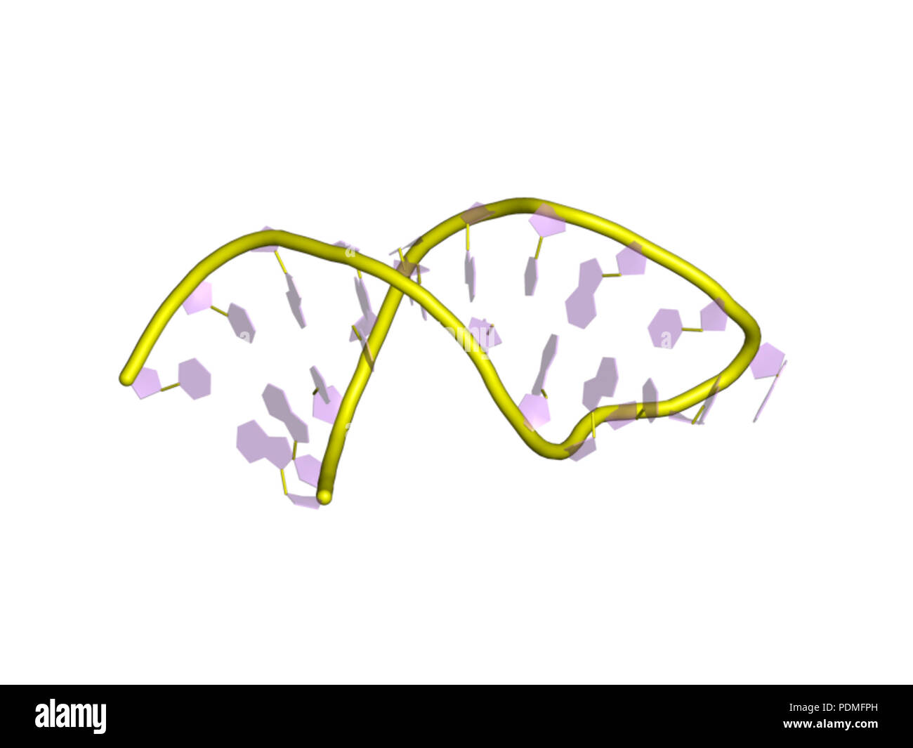 121 PDB 1u2a EBI Foto Stock
