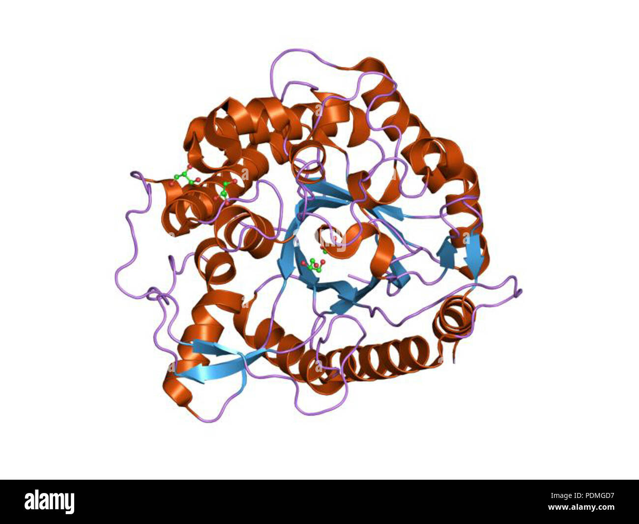 123 PDB 1UG6 EBI Foto Stock