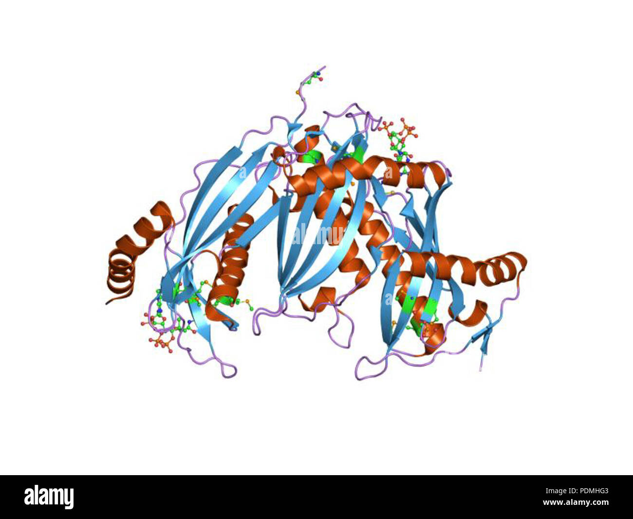 130 PDB 1vpm EBI Foto Stock
