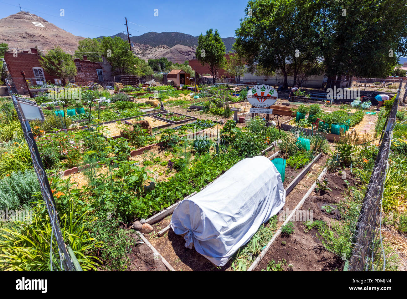 Luglio; Salida comunità giardino; Salida, Colorado, STATI UNITI D'AMERICA Foto Stock