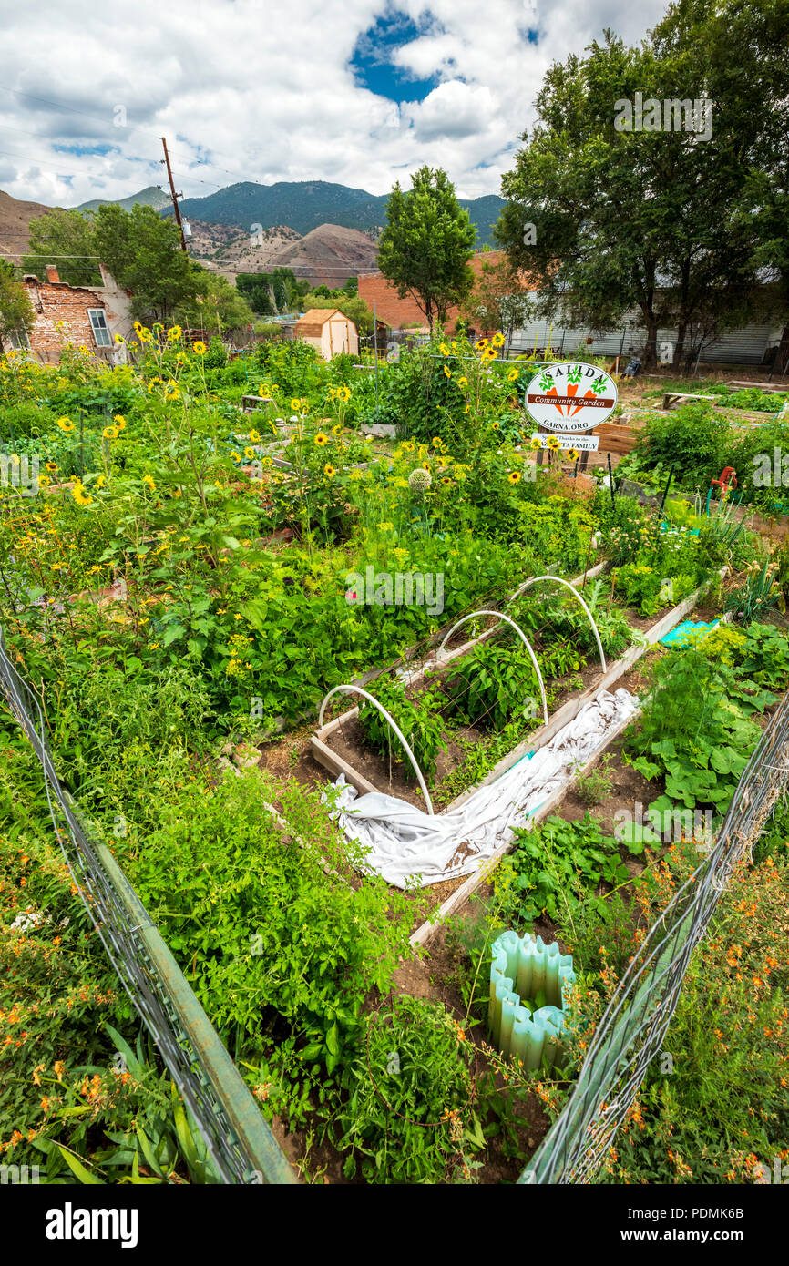 Agosto; Salida comunità giardino; Salida, Colorado, STATI UNITI D'AMERICA Foto Stock