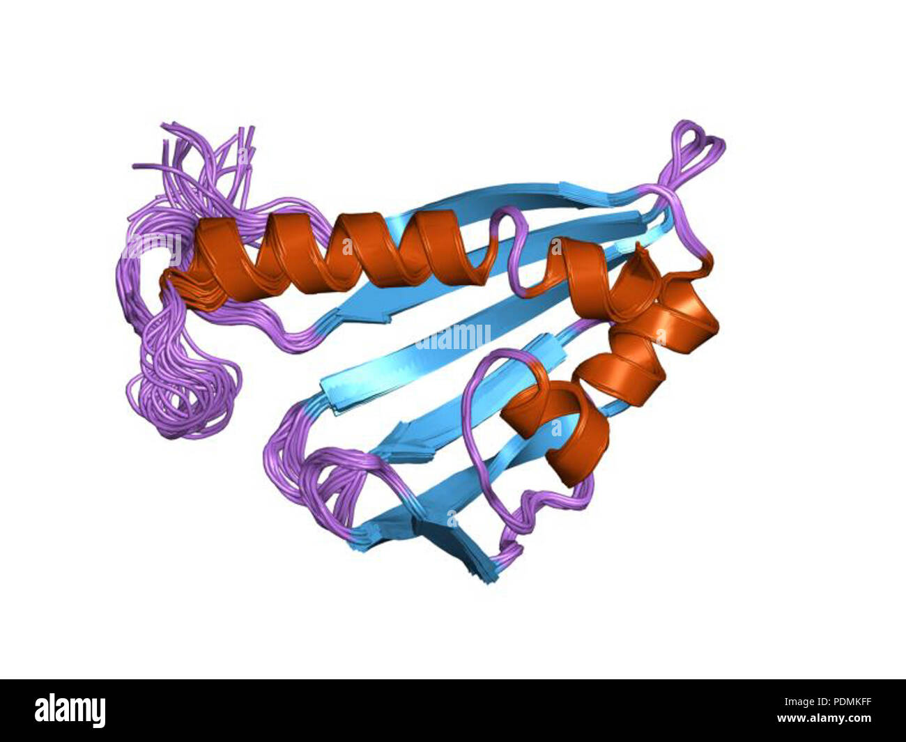 141 PDB 1xn5 EBI Foto Stock