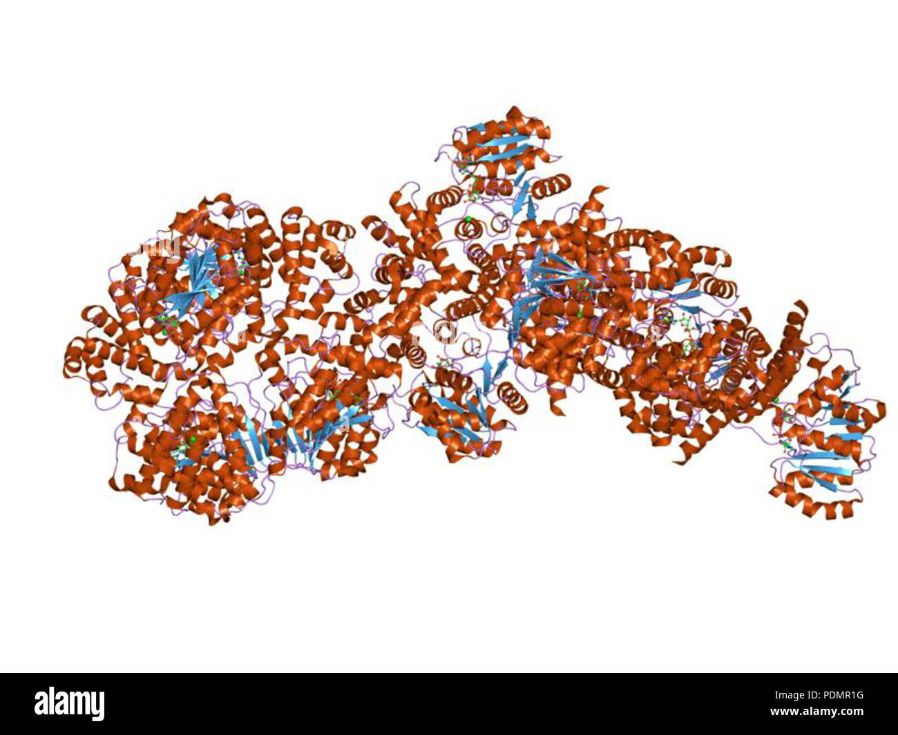 165 PDB 2bo8 EBI Foto Stock